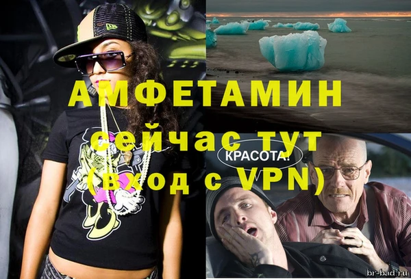 прущие грибы Бугульма