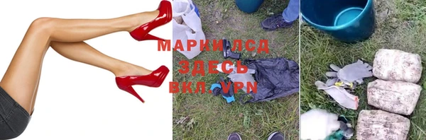 прущие грибы Бугульма