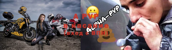 прущие грибы Бугульма
