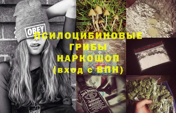 прущие грибы Бугульма