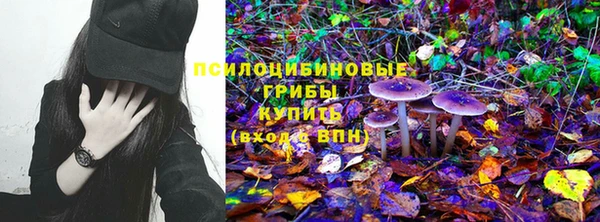 марки lsd Бородино