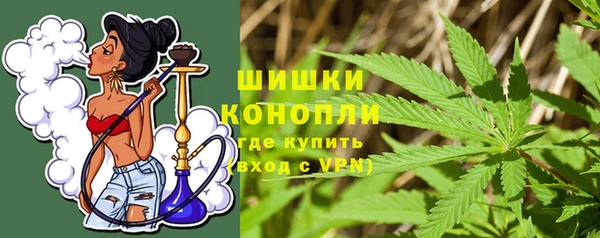 прущие грибы Бугульма