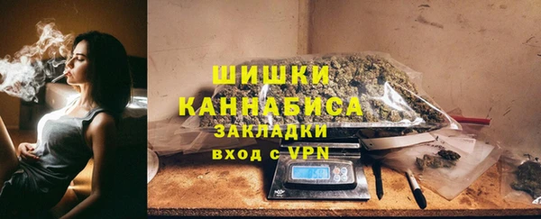 прущие грибы Бугульма