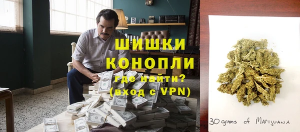 прущие грибы Бугульма