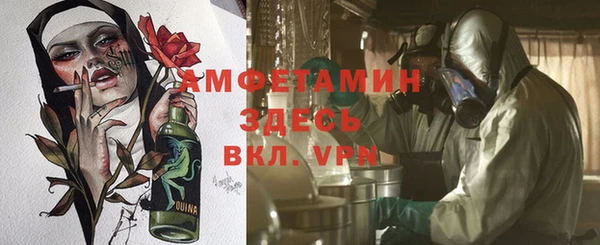 прущие грибы Бугульма