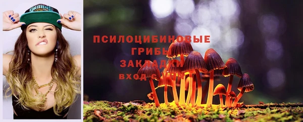 прущие грибы Бугульма