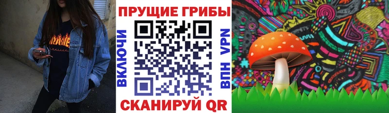 Купить где  Бахчисарай  Псилоцибиновые грибы ЛСД 